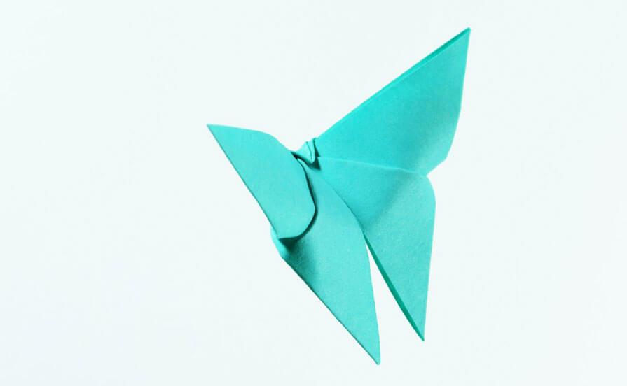 Portfolio Image